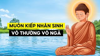 Muôn Kiếp Nhân Sinh  Vô Thường Vô Ngã Duyên Sinh [upl. by Atiuqet154]