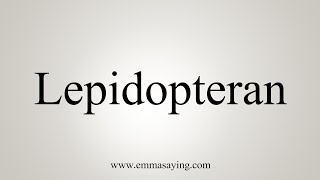 How To Say Lepidopteran [upl. by Janetta]