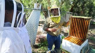 California Master Beekeeper Program CAMBP [upl. by Yadsnil]