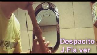 불심치 Despacito JFla ver Recorder cover [upl. by Arekahs]