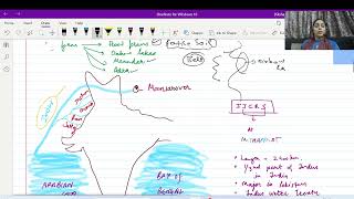 Drainage System in India UPSC river upsc [upl. by Debo]