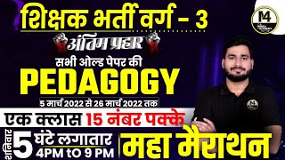 सभी ओल्ड पेपर की PEDAGOGY महा मैराथन  MPTET VARG 3 HINDI CLASSES  VARG 3 HINDI  VARG 3 HINDI [upl. by Gosselin538]