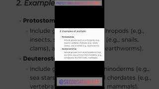 Msc zoology difference between protostomia and dueterostomia sreducation2307 [upl. by Ylsew]