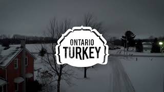 The Borth Family  Ontario Turkey Farmers [upl. by Paza]