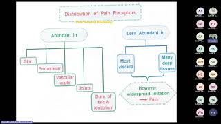 Pain analgesia amp Mechanisms of neuropathic pain by Prof Ahmed Elgendy [upl. by Cynthla164]