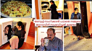 താറാവ് ഇടുന്ന ഐസ് മുട്ടയും കൊടും തണുപ്പും വീട്ടു ജോലികളും പുത്തത്തെ ജോലികളും കോഴി ബിരിയാണിയും VLOG [upl. by Wilkie]