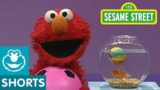 Sesame Street Play Ball  Elmos World [upl. by Yartnod42]