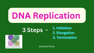 DNA ReplicationInitiationElongationTerminationProkaryotesEukaryotesSemiconservativeTelomerase [upl. by Stretch]