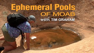 Ephemeral Pools of Moab  The Nature amp Creatures of Water Potholes [upl. by Myrlene]