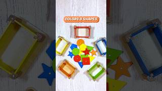 Colors amp Shapes Sorting Game for Toddlers  Three Year Old Learning Videos shorts [upl. by Gustafsson852]