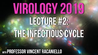 Virology Lectures 2019 2 The Infectious Cycle [upl. by Douglass]