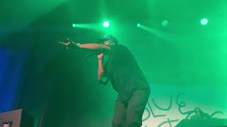 ScHoolboy Q  quotCollard Greensquot LIVE at Chicago IL Ramova Theatre 072424 [upl. by Lednyc971]