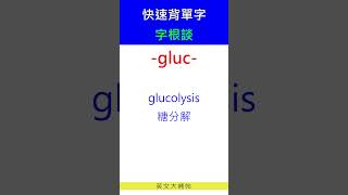 快速背單字字根談gluc [upl. by Nosna]