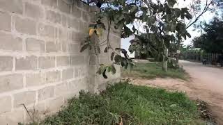 Land for sale in Tanzania Dar Es Salaam [upl. by Eihs]