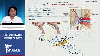 Cirugía general  9 Hernias abdominopélvicas [upl. by Ihtraa799]