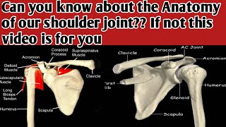 anatomy of shoulder joint  anatomy of shoulder ligaments  movements and bones [upl. by Jet652]