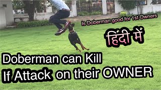 Doberman Dog Attack when touch their Owners  Is Doberman good for first time pet owners [upl. by Denney829]