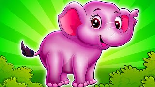 🩷 Je suis un Éléphant  Koalala  Plus de Comptines et Chansons pour Enfants 🤩E [upl. by Bik]