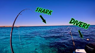 Sharks Spearfishing Bucket List Fish and Island Shenanigans  Onlsow Ep 2 [upl. by Anoit]