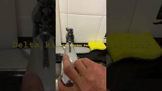 Delta kitchen faucet leaking around base [upl. by Nuahsal234]