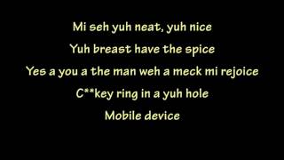 Spice Vybz Kartel  Conjugal Visit Lyrics [upl. by Sabu]