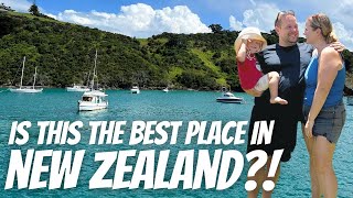 5 Reasons To Fall In Love With Waiheke Island  Auckland NEW ZEALAND [upl. by Kimball96]