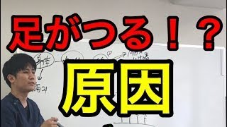 足がつる！こむら返りの原因と対処法について整体的な視点から解説【横浜市青葉区】 [upl. by Tillion]