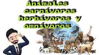 Animales carnívoros herbívoros y omnívoros [upl. by Leugimesoj78]