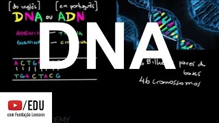 DNA  Macromoléculas  Biologia  Khan Academy [upl. by Janina]