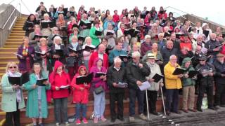 THE HASTINGS BIG CHOIR AT THE HASTINGS PIER GALA OPENING [upl. by Battiste]