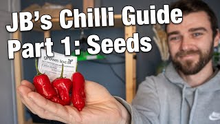 Grow Amazing Peppers and Chillis in the UK  Chilli Growing Beginners Guide  Part 1 [upl. by Phira]