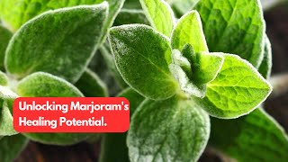 Why Marjoram is the Miracle Herb You NEED in Your Life 🌿 [upl. by Coucher396]