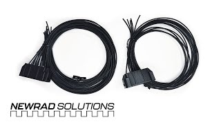 Newrad Solutions Digital EZ Harness for Foxbody Mustangs 7993 [upl. by Elawalo]