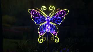 The Illuminated Fluttering Lawn Butterfly [upl. by Rooke971]