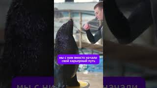 Интервью с тренером морских млекопитающих 🐬🦭 Полное видео на нашем канале 📽️ [upl. by Allevon143]