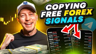 Copy Trading the BEST FREE Forex Signals on Telegram LIVE [upl. by Ydok503]