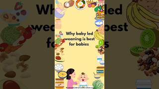 Baby Led Weaning Why It Works and How to Do It [upl. by Naiditch]