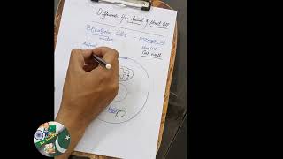 Difference between animal cell and plant cell PART1 [upl. by Elyc369]