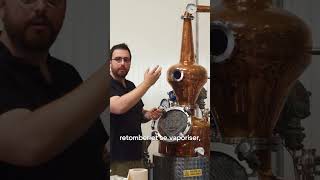 Alambic Tour  le cou spiritueux gin rhum whisky [upl. by Infeld]