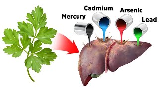 The Best Strategy for Detoxifying Heavy Metals SAFELY [upl. by Rehsa]