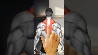 UPPER BACK EXERCISES HOME amp GYM [upl. by Mcmath]