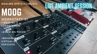 Moog Werkstatt01 Live Ambient Session  Effects Pedals [upl. by Afra267]