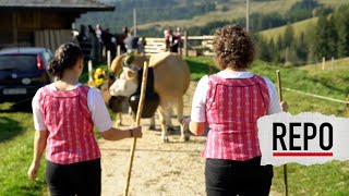 Alpabzug Plaffeien mit der Famile Burri [upl. by Clawson441]