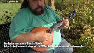 Bardic spell 6 by Robert Bruce Scott [upl. by Rosati798]