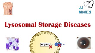 Lysosomal Storage Diseases  Overview and What You Need to Know [upl. by Brina]