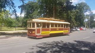 SEC Ballarat No 28  1916 tram [upl. by Dott972]