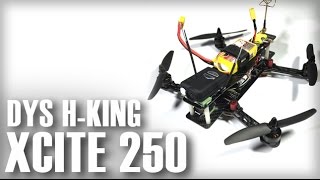 XCITE DYS 250 PNF Mini Quadcopter Flight Review  Hobby King [upl. by Eetsim]