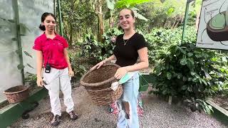 Costa Rica Vlog 9 Don Juan Coffee Chocolate and Sugarcane tour Bat Jungle [upl. by Nnawaj]