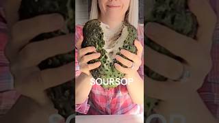 Soursop benefits and how I eat it immunity antiinflammatory soursop [upl. by Ahseekal51]