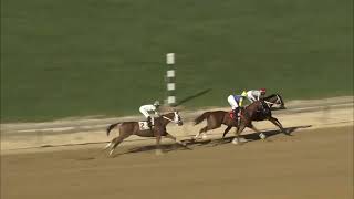 TIMONIUM 09 02 2024 RACE 9 [upl. by Nazar]